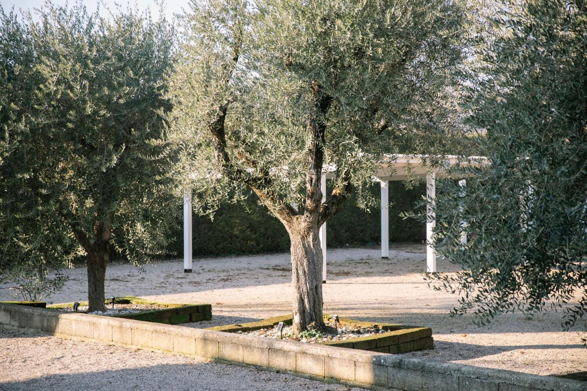 Appartamento White Angel Castelnuovo del Garda Esterno foto